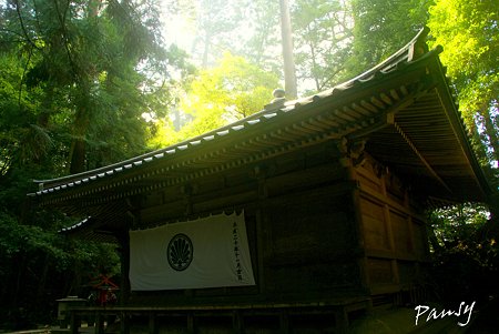 林厳の気満ちて・・鞍馬にて・・25