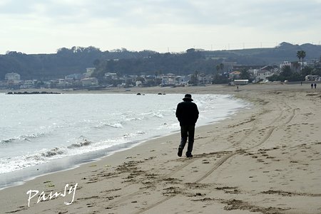 歩く・・ 三浦海岸にて・・