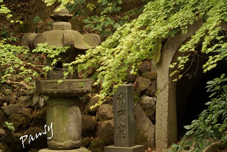 南面窟・・安国論寺・・7