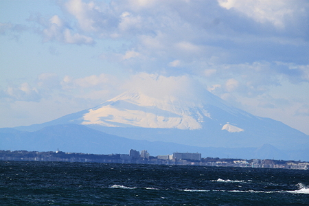 IMG_1031