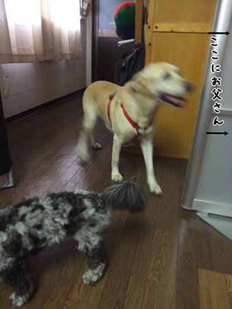 お父さん