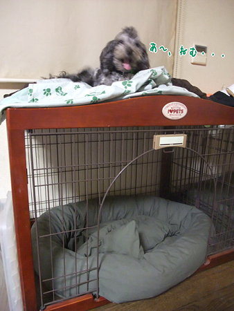 ねむ・・・