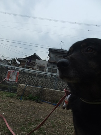 クールな表情が素敵な大ちゃん