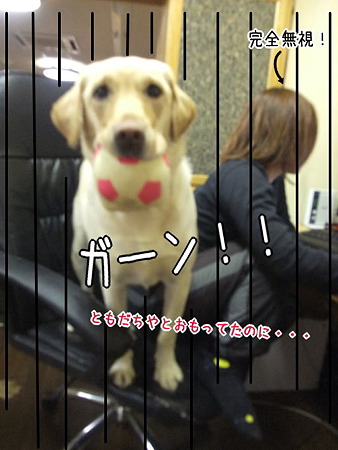 ともだち・・・