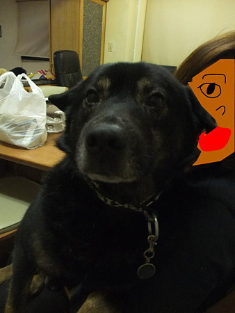 大輔