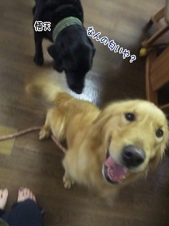 この方ヒート中