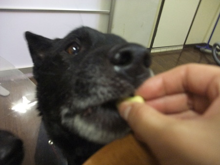 すっごく優しく食べるねんよ