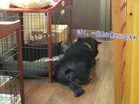 密談