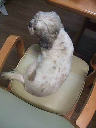 酷い仕打ち・・・