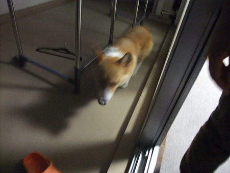 むっちゃ広いベランダーー