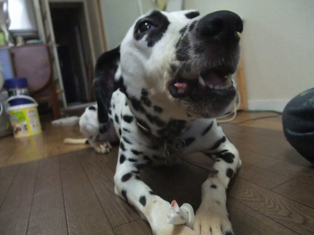 返してくれてありがと♪