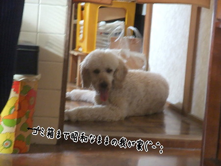 アンジュに昭和は似合わんなぁ