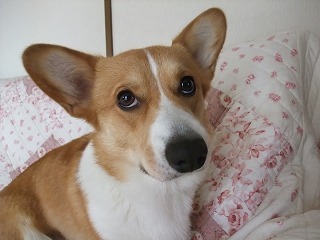 2009_1229デラモーデにて0098