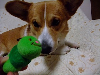 2010_03040051