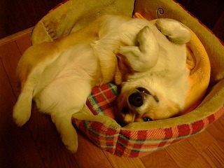 2010_03080002