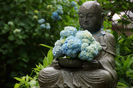 アジサイの花束、花想い地蔵!