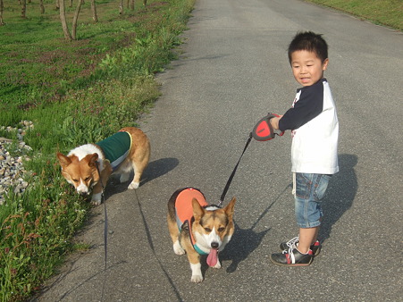 2009.1.2 158