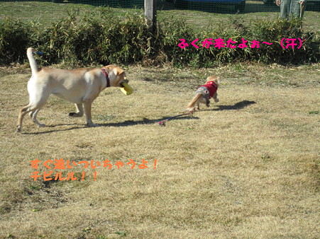 追いかけっこ(1)