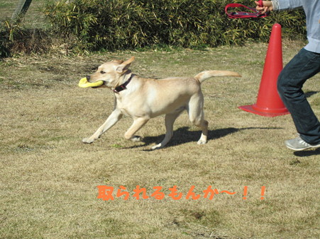 ふくちゃん早い!