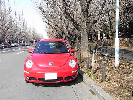 銀杏並木で暇つぶし…