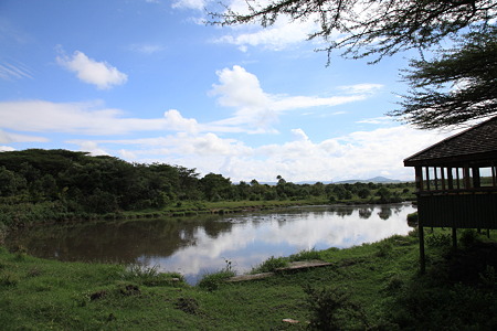 DPP_1382