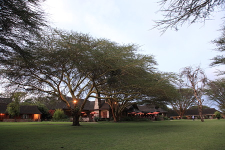 DPP_1461