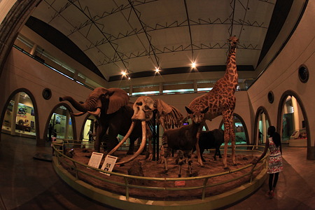 DPP_1431