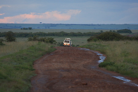 DPP_1714