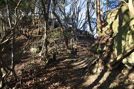 本栖城 - 02
