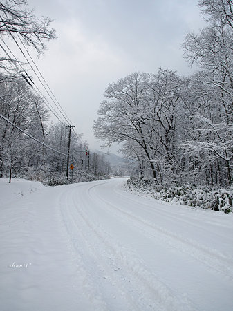 雪の朝