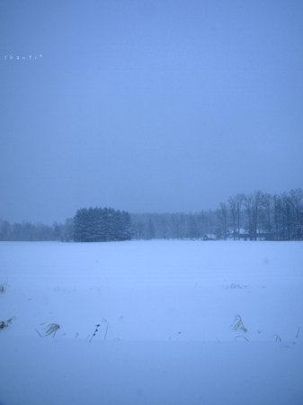blue...