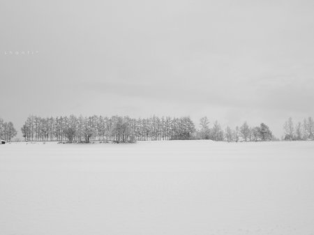 winter wonderland*4