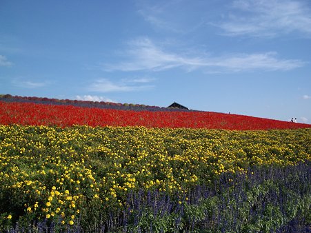 IMGP5596