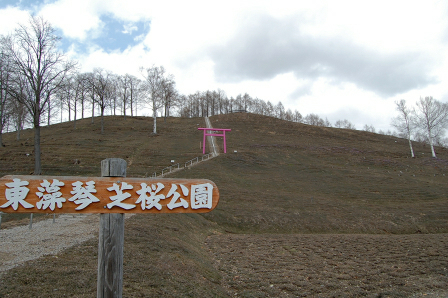 鳥居だけがピンク色
