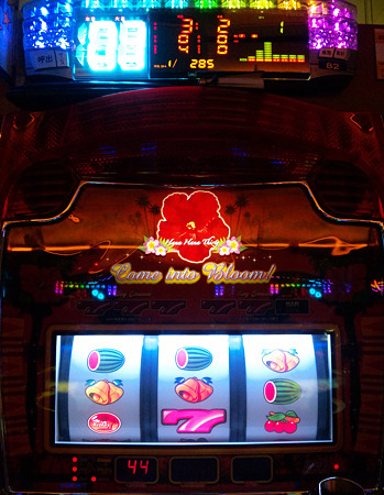 DVC00378_edited