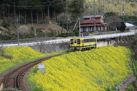 春電車