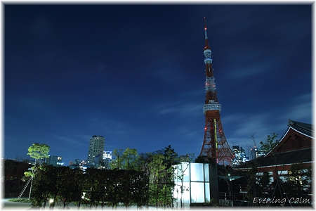 東京タワー(2009年ライトダウン伝説)_002