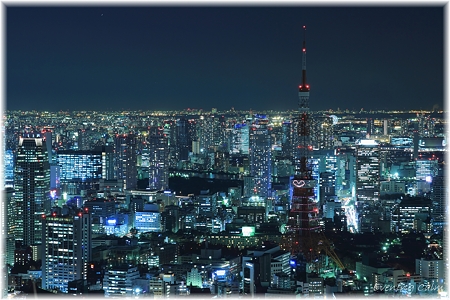 東京タワー(2009年ライトダウン伝説)_005