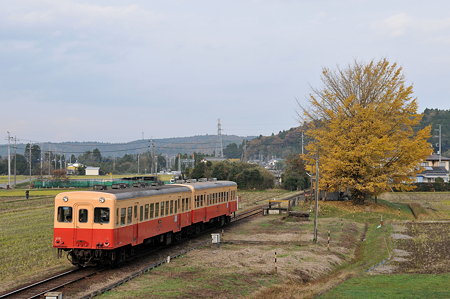DSC_9328a