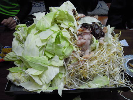 DSCN0117
