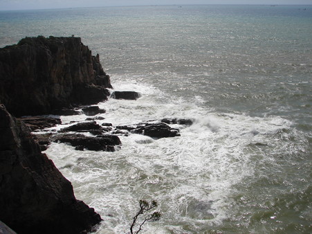 DSC05568