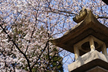 境内の春