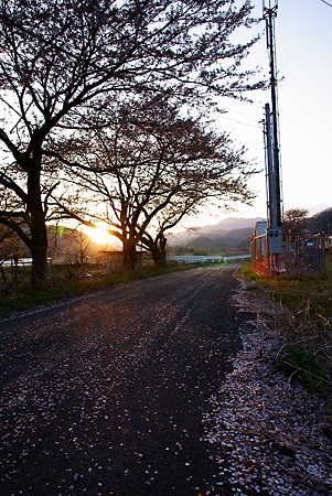 散道