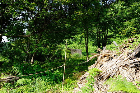1108141547_DSC_6230