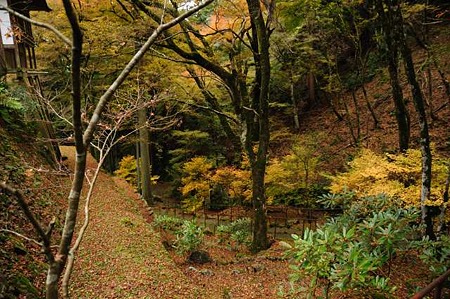 0911181348_DSC_1341