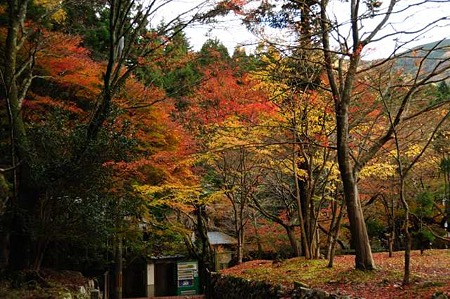 0911181359_DSC_1352