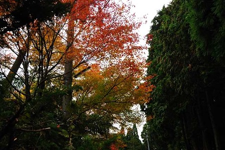 0911181404_DSC_1353