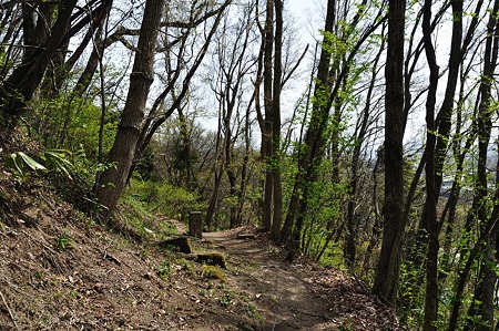1005051351_DSC_5658