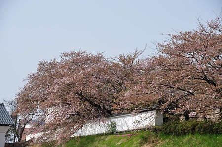 1005051434_DSC_5681