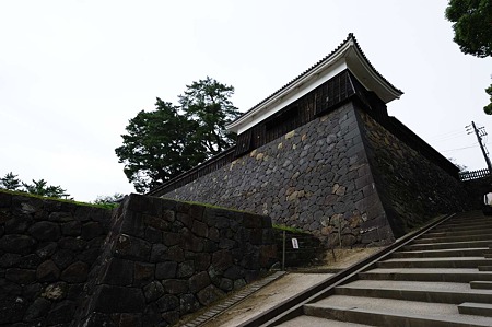 1010190946_DSC_2288